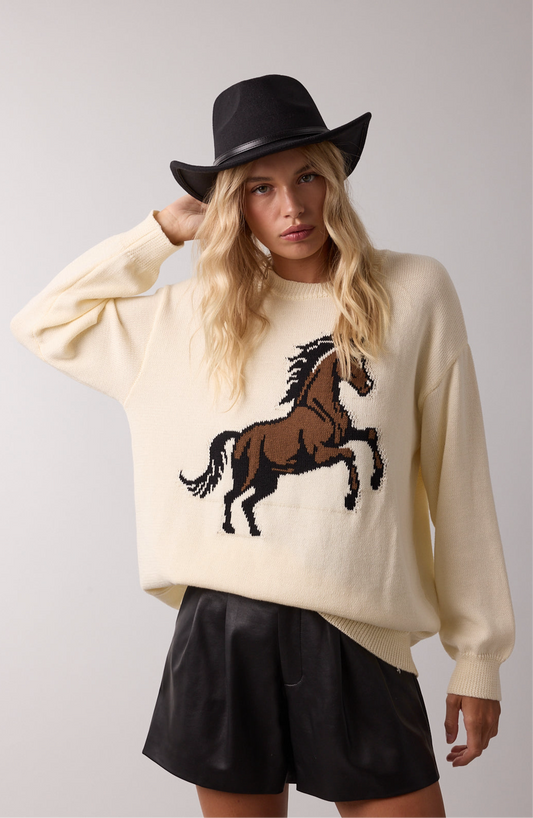 Horse Sweater