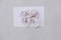 Pony Bow Medium Clip