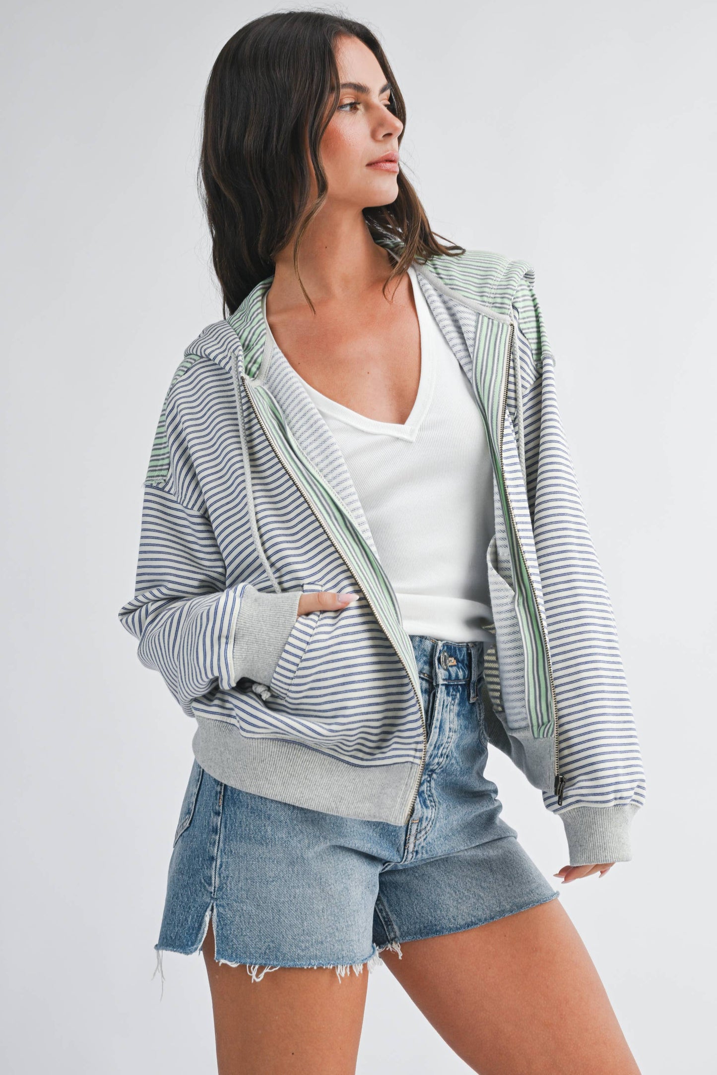 5189HK Striped Zip Hoodie