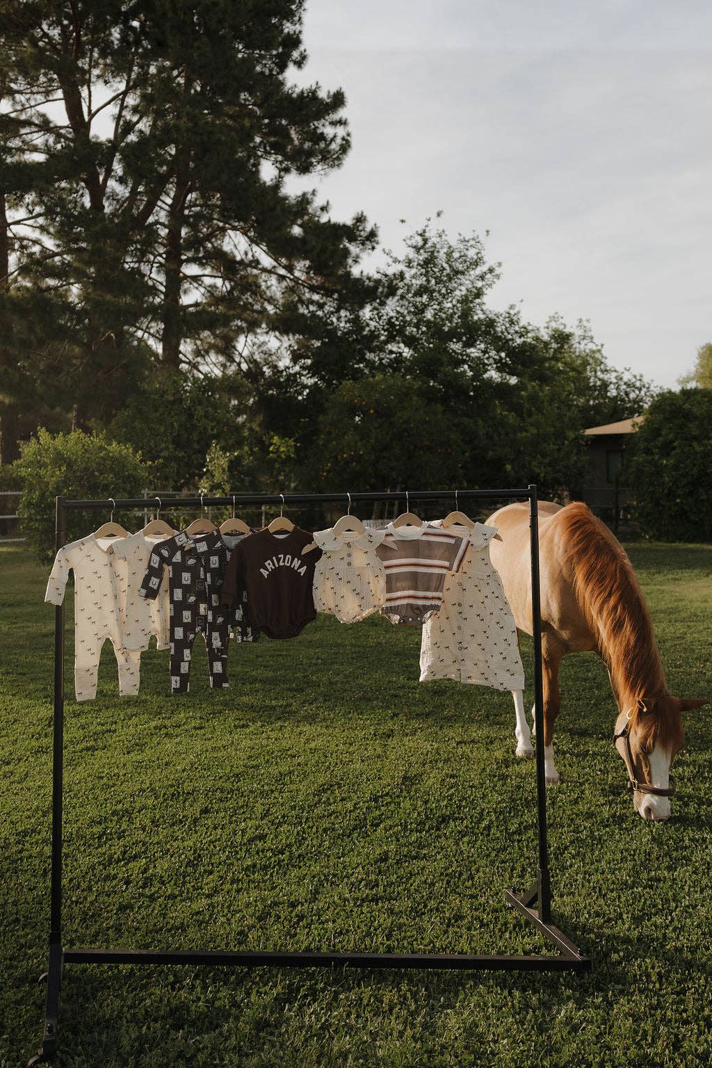 Shortie Bamboo Zip | Wild Horses